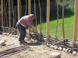 41 Zaun Waagrecht Bad Enddorf Zaun Hecke Weidenarten