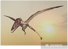 It had a big head, a small brain, a tall beak, and two types of teeth. Poster Fliegender Dinosaurier Dimorphodon Pixers Wir Leben Um Zu Verandern