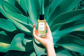 Berber Blonde By Sana Jardin 1st Floor A Ali Shopping Center Bahrain Whatsapp 973 33338653 Website Www Thejamila Co Fragrance Blonde Latest Discoveries