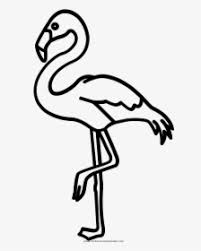 Art projects for kids.org is a participant in the amazon services llc associates program, an affiliate advertising program designed to provide a means for me to earn fees by linking to amazon.com and affiliated sites. Flamingo Drawing Outline Flamingo Clipart Silhouette Hd Png Download Kindpng