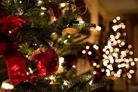 Come early for the best selection of beautiful craft grown trees. Wsu S Dr Christmas Tree Honored With Lifetime Industry Impact Award Wsu Insider Washington State University