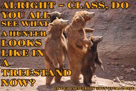 Hunting Meme Funny Bear Hunting Meme Hunting Magazine Hunting Memes Hunting Humor Bear Hunting