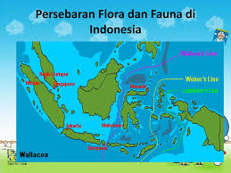 Secara umum, pengertian flora adalah segala macam jenis dari tumbuhan serta tanaman yang terdapat pada muka bumi. Flora Dan Fauna Persebaran Flora Dan Fauna Di Indonesia Kelas Iv Oleh Siti Halimatus Sakdiyah Ppt Download