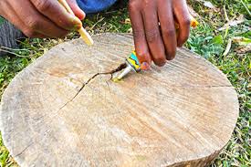 Prepare your materials in making your wooden sundial which includes ¾ and ¼ plywood to serve as your base and gnomon, saw for cutting the plywood, wood glue to stick the plywood, pencil for marking, sand paper to make the edges smooth and markers or paint to color your wooden sundial. Hey Kids It S Time To Make A Sundial Life Is A Garden