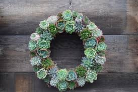 Thread the pipe cleaners of the sign through the grapevine. Diy Ideas Make Your Own Succulent Wreath Frosts Garden Centres