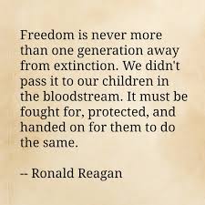 Image result for freedom isn't free