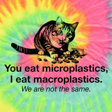 Photo by LetsGetThisThread (@lgtt_official) · January 22, 2025