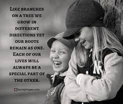 40 Wonderful Siblings Quotes That Will Make You Feel Extra Grateful Sayingimages Com Sibling Quotes Brother Sister Quotes Brother Quotes