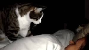 Ve en son sözü belki de başka ne söylerse söylesin içime bu kadar oturmazdı. Top 30 Good Morning In Islamic Gifs Find The Best Gif On Gfycat