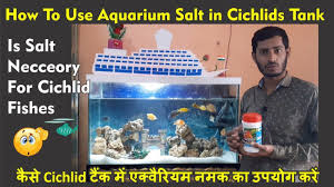 Aquariums How To Use Aquarium Salt Is Salt Safe For Cichlids Tank Aquarium Cichlids Cichlid Fish