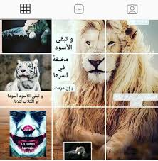 pin by sniper kimokaz قناص النت on intentions lions animals joker