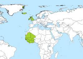 Current greenwich mean time (gmt). Gmt To Cet Converter Savvy Time