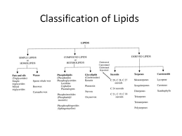 72 all inclusive classification of lipids flowchart