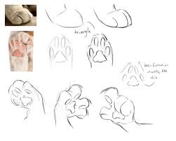 When that is done you can also add some fluff under the arm. 3 Tumblr Cat Drawing Tutorial Furry Drawing Paw Drawing