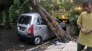 The attorney general of the republic of indonesia is the competent authority to advise the government of indonesia on matters of law. Bojonegoro Rawan Longsor Lamongan Hujan Angin Global News Co Id