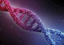 New research reveals that a healthy lifestyle can substantially reduce a person's likelihood of developing dementia, even if they have a high genetic risk . Genetic Risk Factors Alzheimer S Disease Research Center