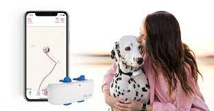 Locate and compare delivery service in canada, yellow pages local listings. Tractive No 1 Gps Tracker For Cats And Dogs Worldwide Tractive
