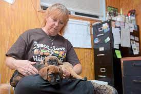 We did not find results for: Pet Adoption League Plans Move End Of Feud With Founder Triblive Com