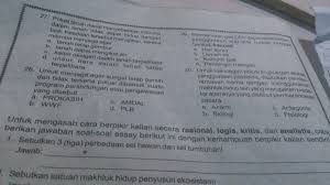 Demikianlah soal dan penjelasan tentang future perfect tense semoga dapat membantu anda yang ingin mempelajari future perfect tense, selamat belajar! Mohon Di Jawab Dengan Benerrr Dong Brainly Co Id