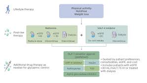 Kidney Disease Improving Global Outcomes Kdigo New Guideline For Diabetes Management In Chronic Kidney Disease A Meet The Expert Session Emj