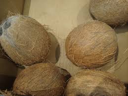 Image result for Cocos