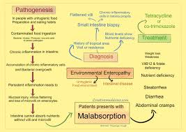 Image result for Intestinal Enteropathy