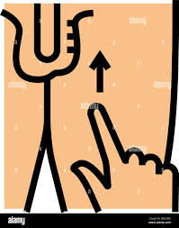 Image result for Cremasteric Reflex