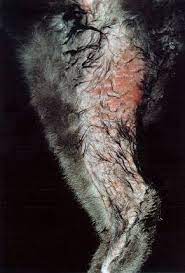 Many may not show obvious signs of carrying parasites, but if your cat is hypersensitive to their bites it can result in intense scratching. Itchy Cat When It Is Not Fleas International Cat Care