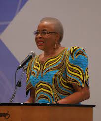 Policy brief september 2010 maternal health: Graca Machel