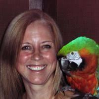 50+ "O'bey" profiles