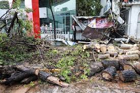 La tormenta tropical dolores nació este viernes en aguas del pacífico mexicano y dejará fuertes lluvias en el país, donde la interacción de varios fenómenos meteorológicos ya ha causado al menos. Fpirmusungercm