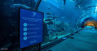 Buy Burj Khalifa Observation Deck Ticket At The Top Online Klook Uk