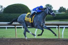The 147th running of the kentucky derby is scheduled 6, 2020, file photo. Essential Quality Shines In Breeders Futurity Bloodhorse
