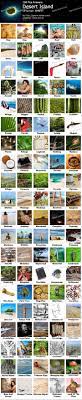 We did not find results for: 100 Pics Desert Island Game Solver