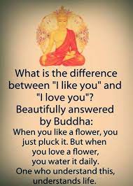 Insta buddha quotes on love. Pin On Quotes