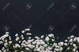 Gypsophila White Baby S Breath Flower On Black Granite Table Background With Copy Space Isolated Beautiful Wallpaper For Valentine Or Wedding Backdrop Design Gypsophila Flower Is Mean Forever Love Stock Photo Picture And