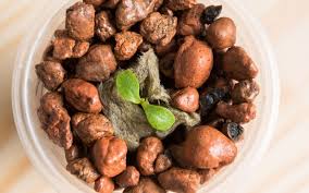 We did not find results for: The Do S And Don Ts Of Expanded Clay Pebbles