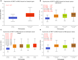 Find out about some of these rare types and how they are treated. Frontiers Sirt7 Is A Prognostic Biomarker Associated With Immune Infiltration In Luminal Breast Cancer Oncology