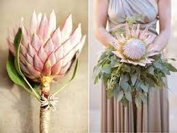 Proteas In Wedding Flower Feature Single Flower Bouquet Protea Flower Wedding Flowers