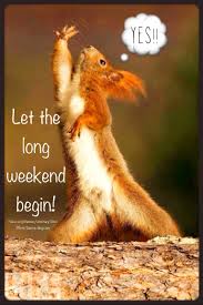 Weekend Funny Long Weekend Animal Funny Cute Squirrel Celebrate Relax Enjoy Weekend Enjoy Funny Weekend Quotes Weekend Humor Long Weekend Quotes