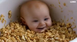 I'm not going to eat it, thank you