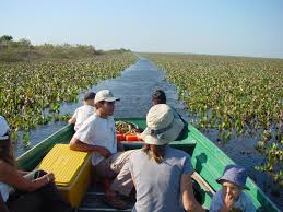 Während einer gruppenfahrt im dem jeep 2014 in den llanos, die zentral in venezuela liegen. Venezuela Hautnah Auf Einer Rundreise Erleben Aventura Do Brasil