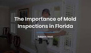 Maybe you would like to learn more about one of these? Your Guide To Florida Mold Home Inspections Edc Professional Home Inspections