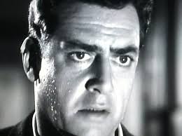 Raymond Burr Movies