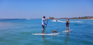 We did not find results for: Sup Rental At Praia Da Fuseta From 15 Checkyeti