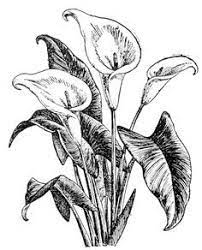 Pin On Inkleurprente