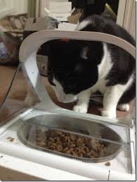 The interior must be filled with water. The Surefeed Microchip Pet Feeder From Sure Petcare