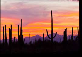 We did not find results for: Union Rustic Az Sonoran Desert Saguaro Cactus At Sunset By Cathy Gordon Illg Photograph Set On Canvas Reviews Wayfair