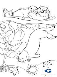 Sea Otter Coloring Pages Google Search Bird Coloring Pages Animal Coloring Pages Detailed Coloring Pages