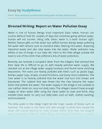 Looking for the perfect format for your next report? Directed Writing Report On Water Pollution Free Essay Example